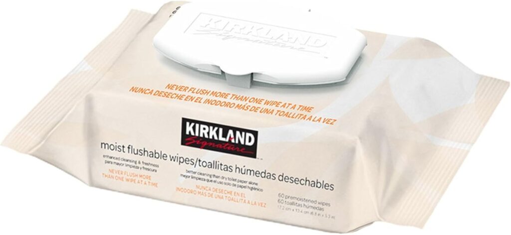Flushable Moist Wipes Pack 64