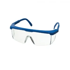 KeepSAFE Lightening Eye Shield Glasses -Adjustable
